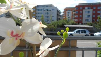 Studio, 1 Doppelbett und Schlafsofa, Balkon (incl. EUR 25 cleaning fee) | Blick vom Balkon