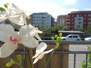 A balcony with white flowers and a view of multi-story buildings in the background. - Beethoven (Regensburg)