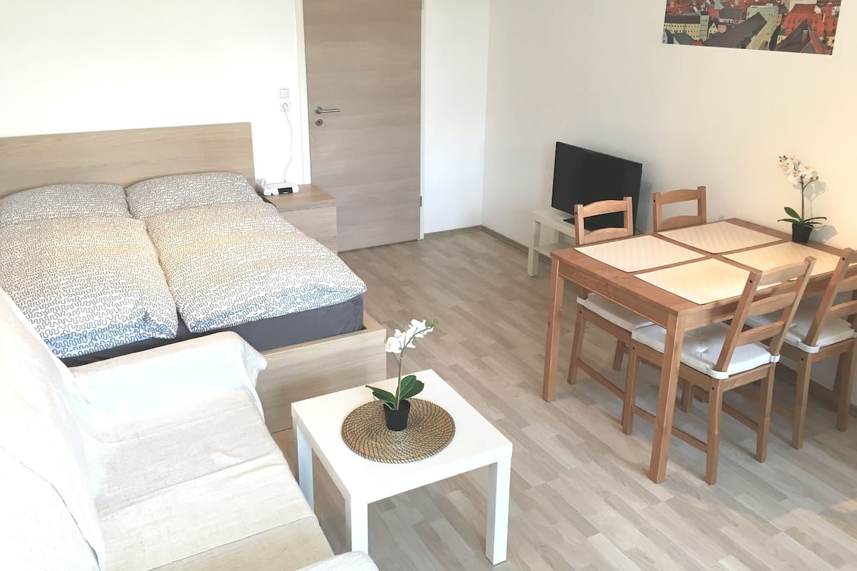 A room with a bed, a small table with a plant, a TV, and a dining table with chairs.