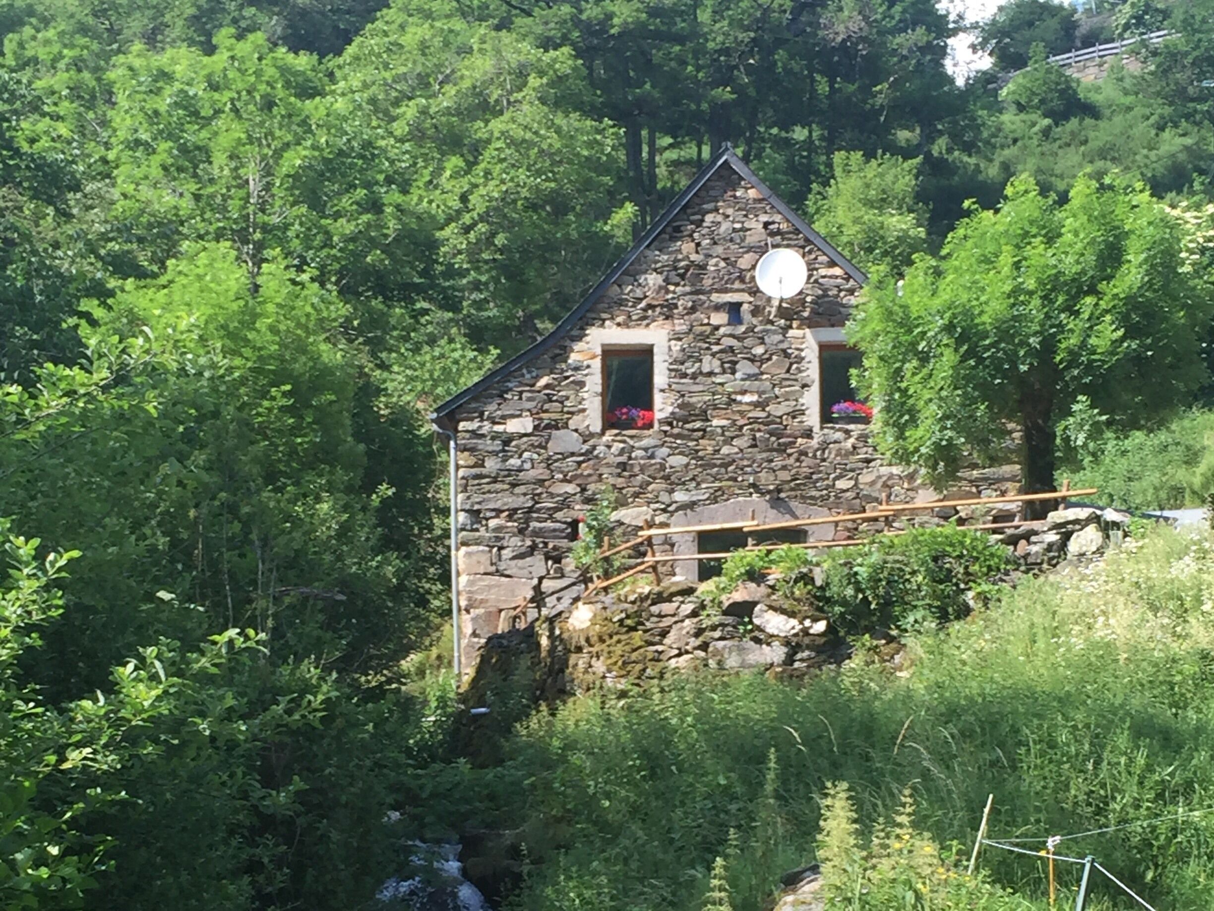 A stone house with a small window and a door, surrounded by dense greenery.