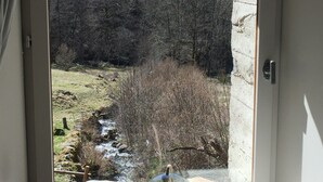 Una ventana con vistas a un área boscosa y un arroyo.