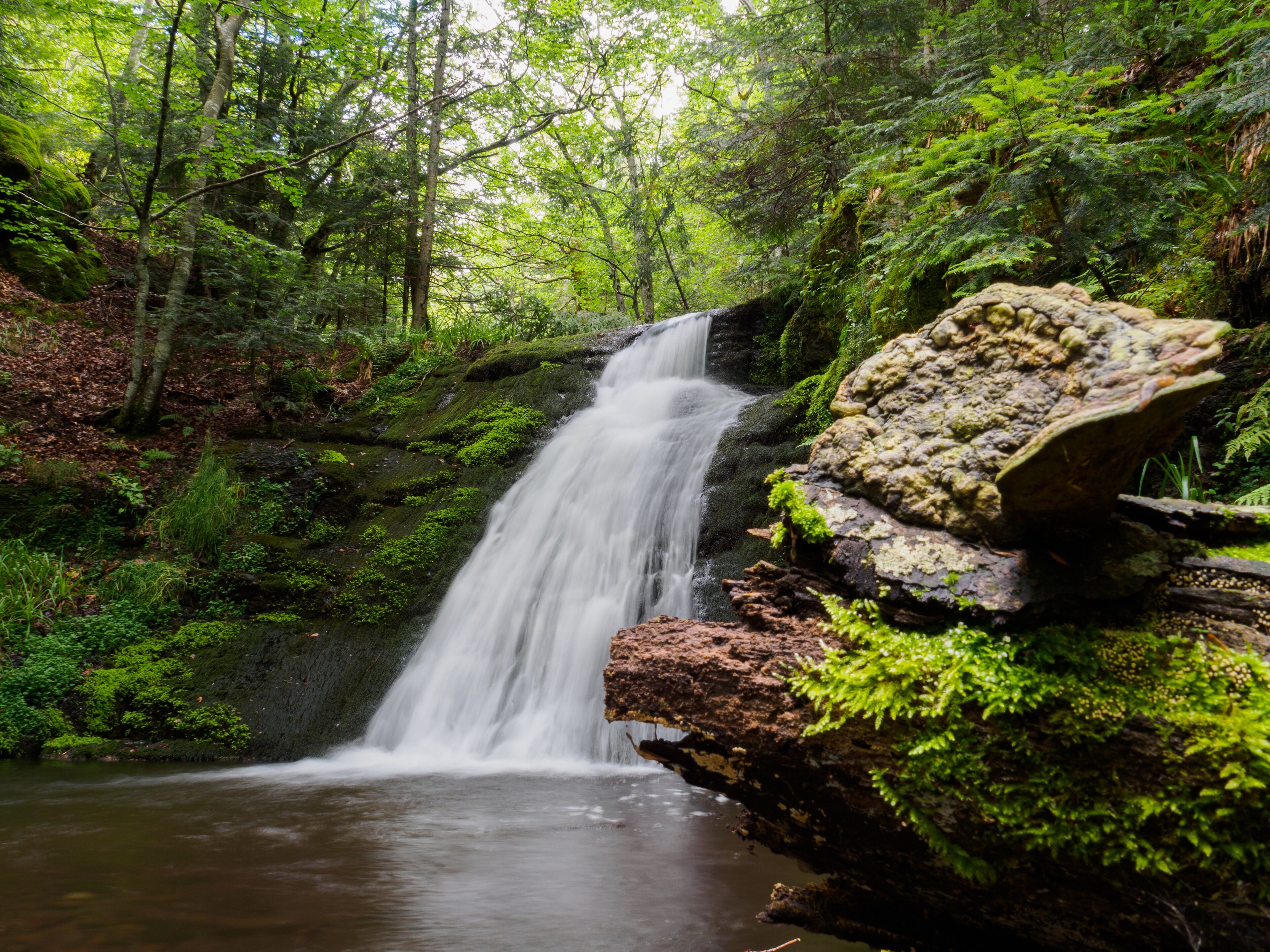 A waterfall in a forested area with moss-covered rocks and dense greenery.