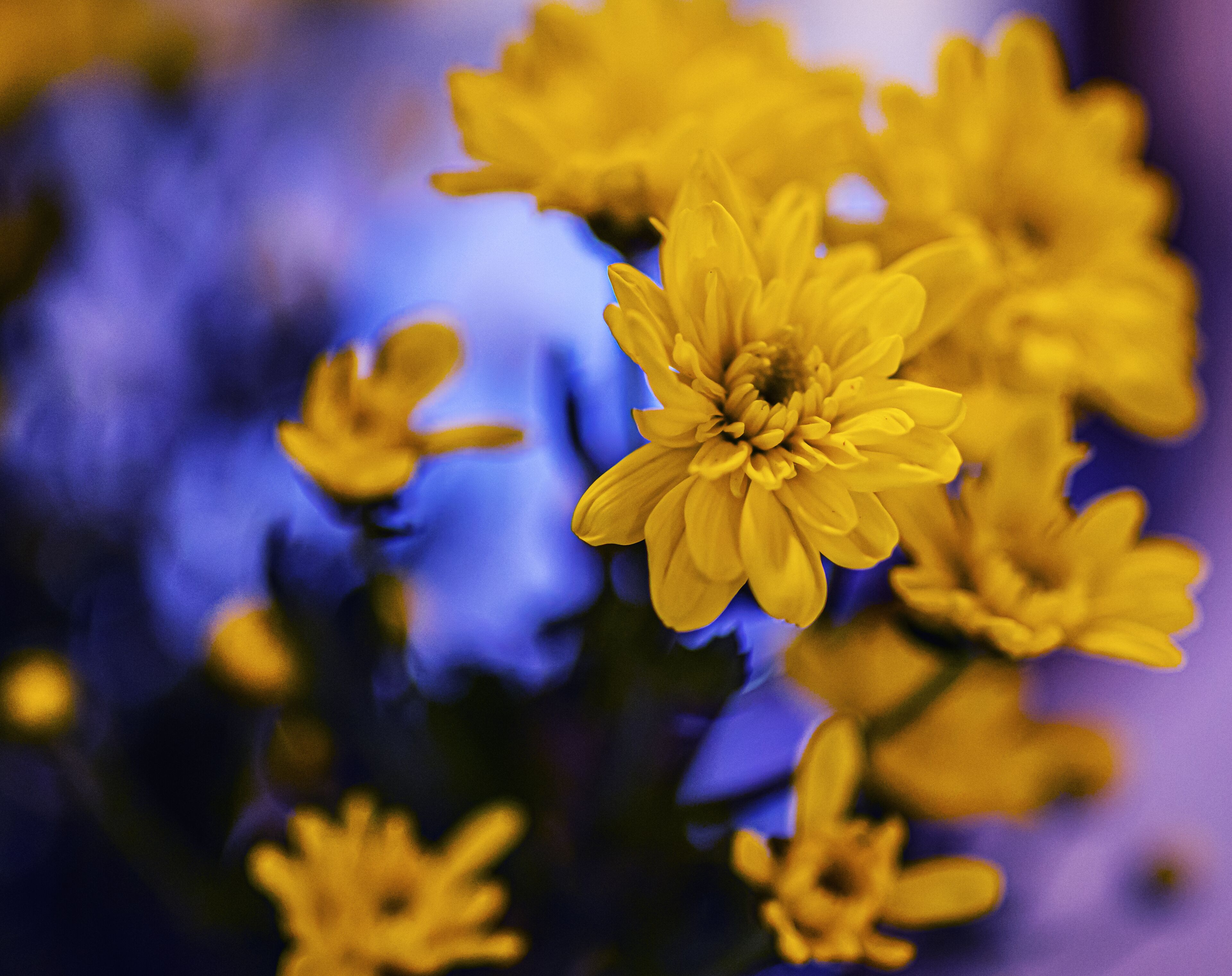 Foto - Foresteria Bergamo Bella B&B