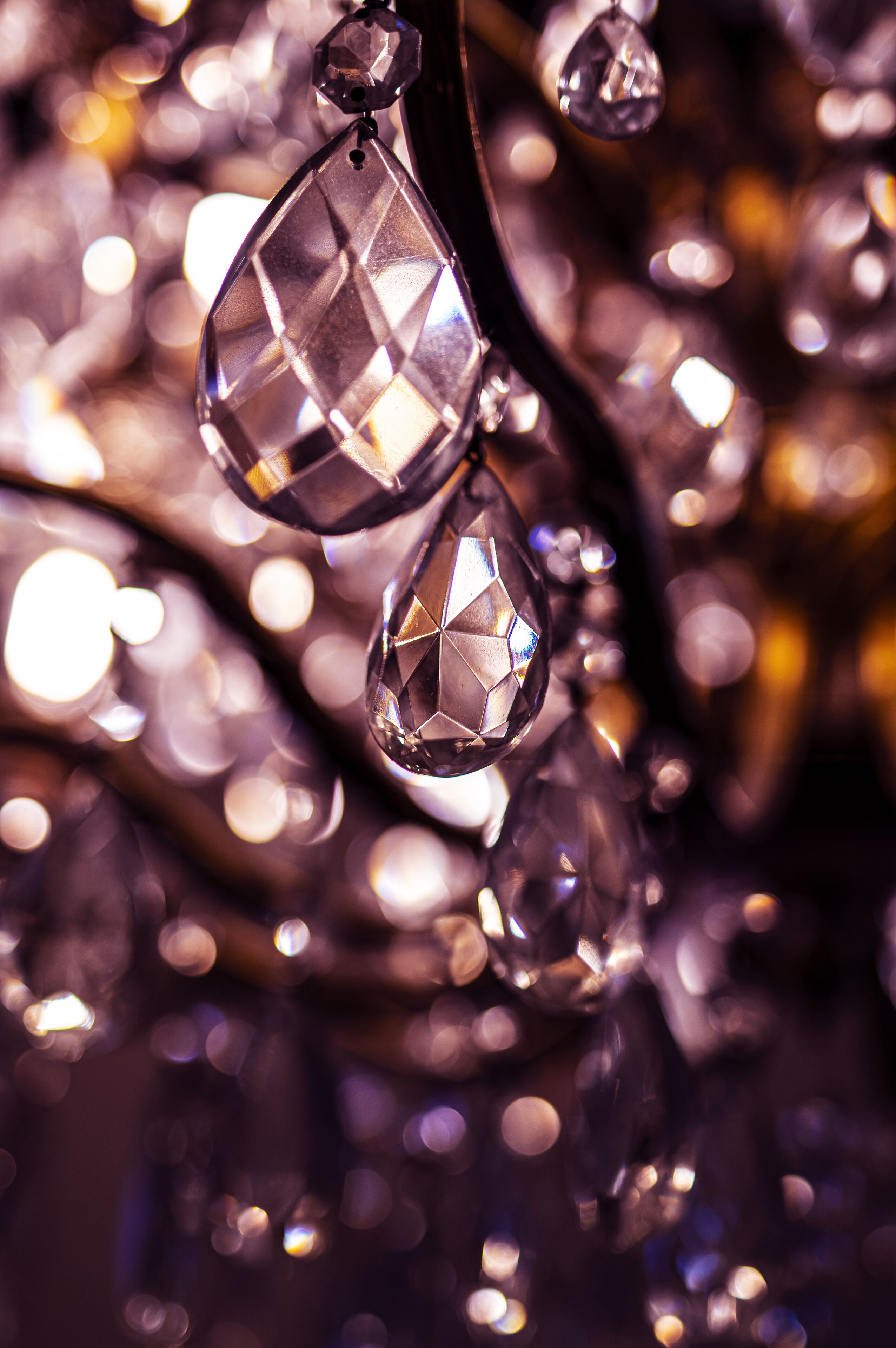 Foto - Foresteria Bergamo Bella B&B