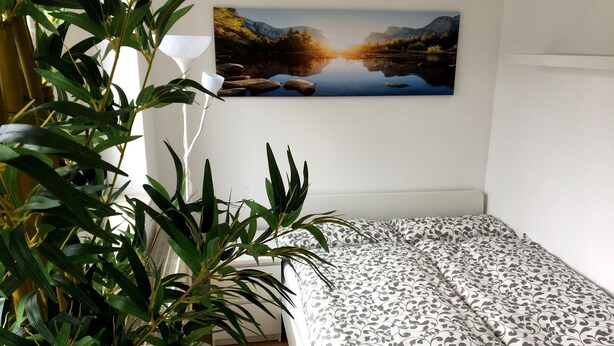 A bedroom with a bed, a wall-mounted painting of a landscape, and a potted plant. - Downtown (Regensburg)