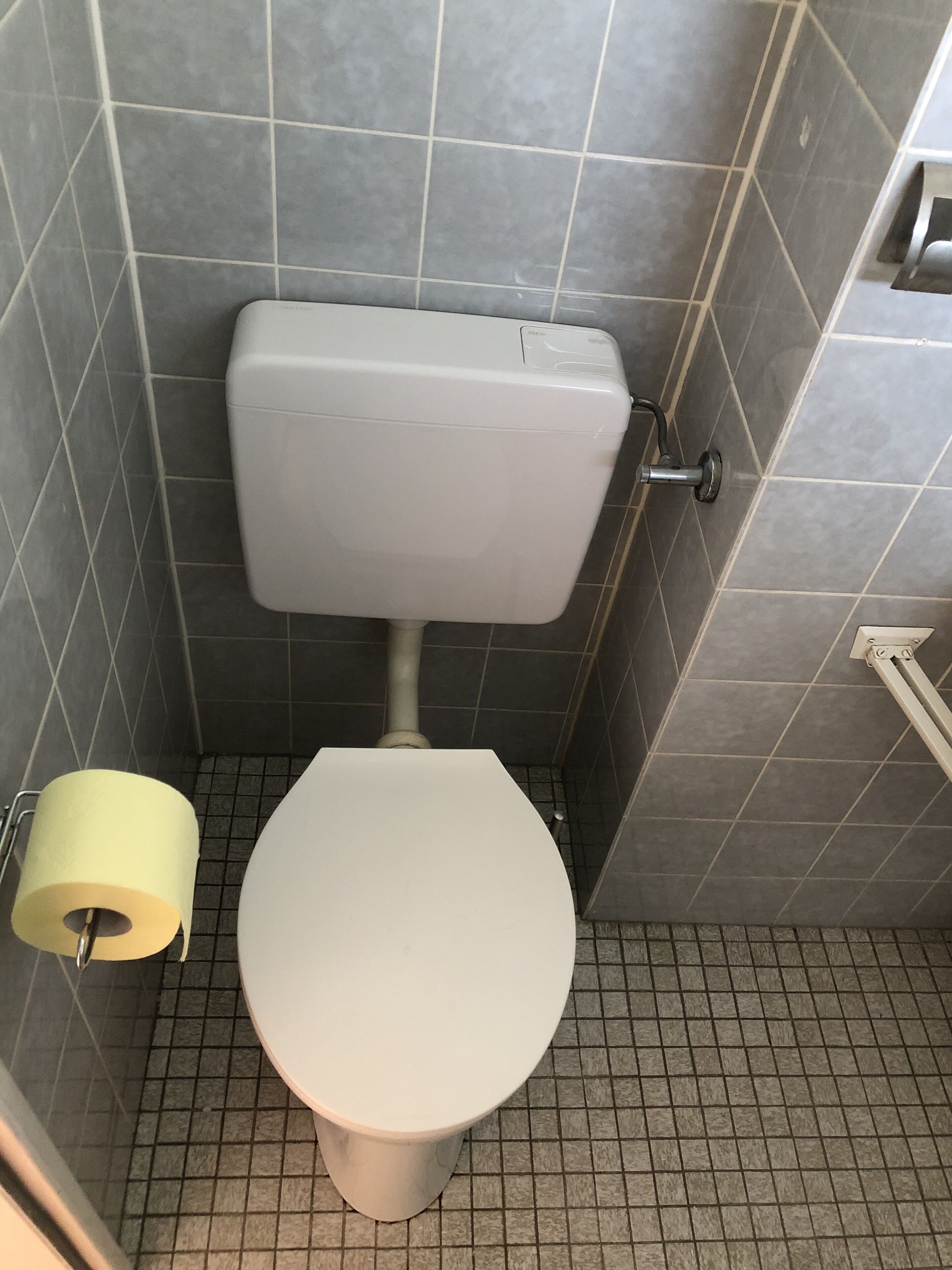 A bathroom with a toilet, a toilet paper holder, and a shower area.