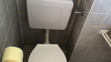 A bathroom with a toilet, a toilet paper holder, and a shower area.