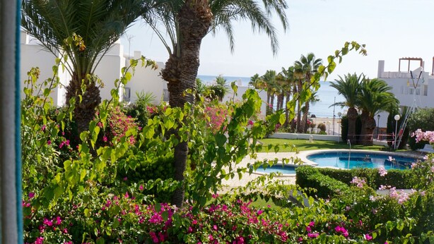A pool area with palm trees and pink flowers. - VILLA LOS REMOS SEAVIEW (Mojácar)