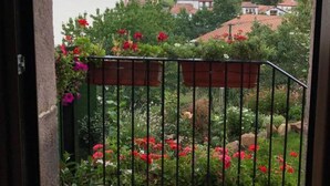 Een balkon met uitzicht op een kerktoren, een betegelde vloer en potplanten.