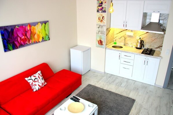 Appartement | Cuisinette privée | Réfrigérateur, surface de cuisson, bouilloire électrique