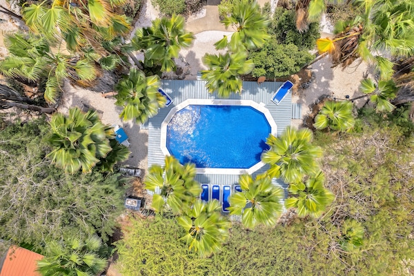 2 outdoor pools, pool loungers
