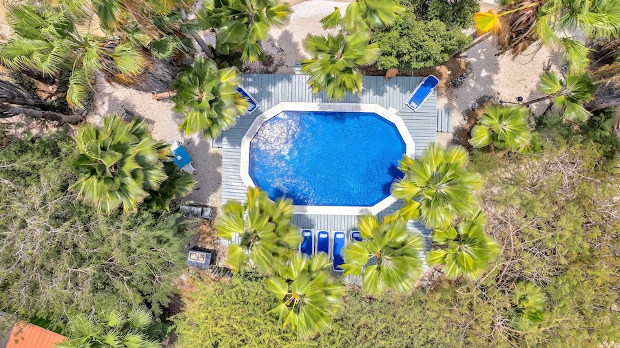 Tropical Divers Resort