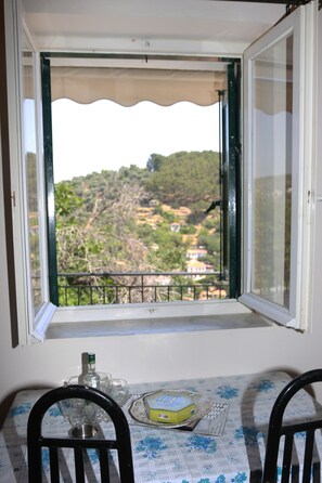 Casa Tradizionale, letti multipli, fumatori, vista mare | Vista dalla camera