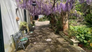 Un étroit sentier bordé d’un banc, de plantes en pot et de fleurs violettes suspendues.