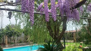 Un jardin avec une piscine, une végétation luxuriante et des fleurs de glycine violettes.