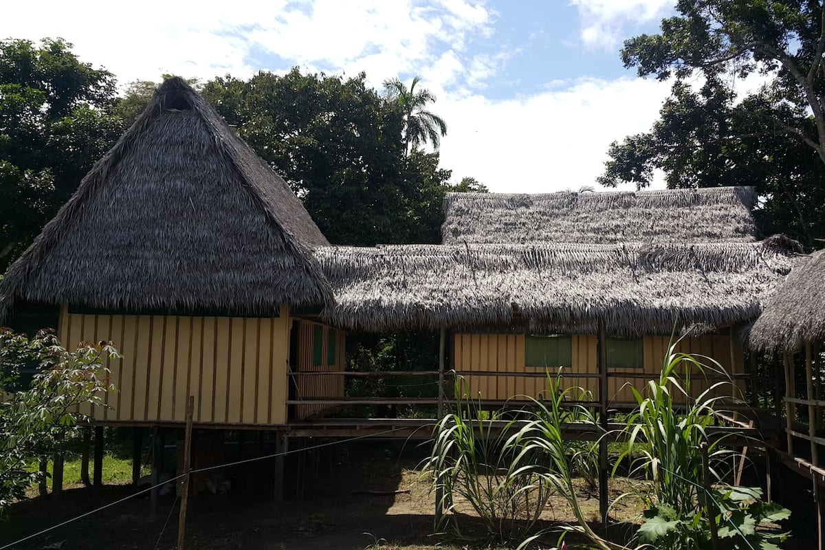 Une construction traditionnelle à toit de chaume, dotée d’une façade en bois et entourée de verdure.