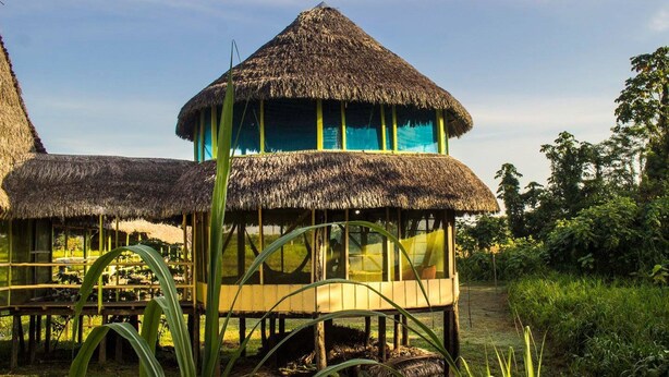 A thatched-roof structure with a wooden deck and large windows, surrounded by lush greenery. - Curuhuinsi Lodge (Iquitos)
