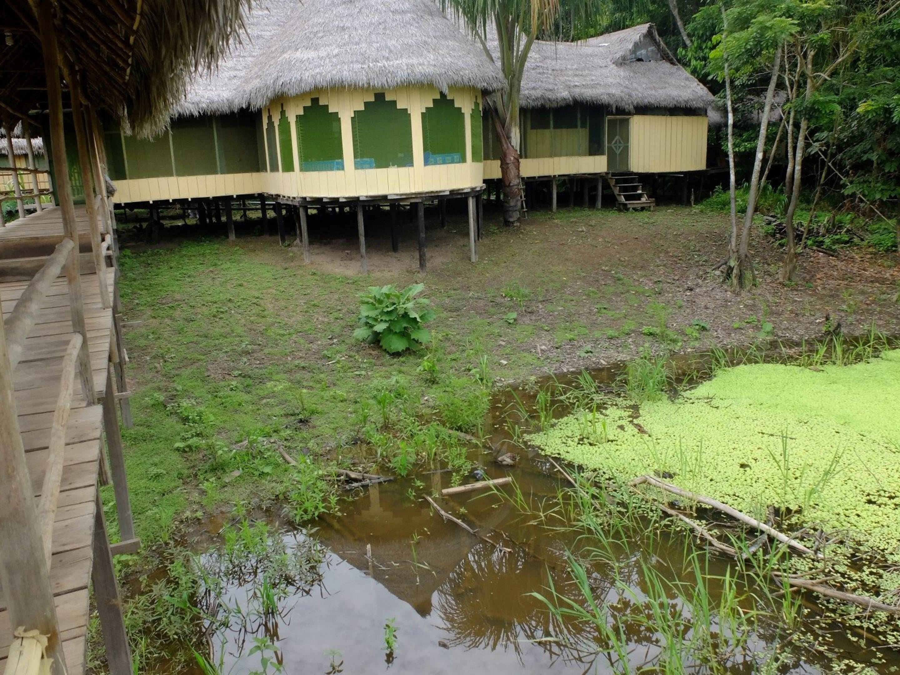 Jardines del alojamiento
