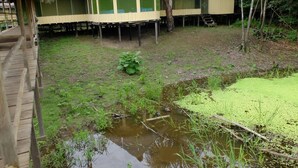 A thatched-roof structure with a wooden deck and a small pond with aquatic plants. - Curuhuinsi Lodge (Iquitos)