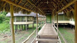 A wooden walkway leading to thatched-roof huts, surrounded by greenery. - Curuhuinsi Lodge (Iquitos)