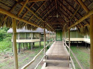 Enceinte de l’hébergement