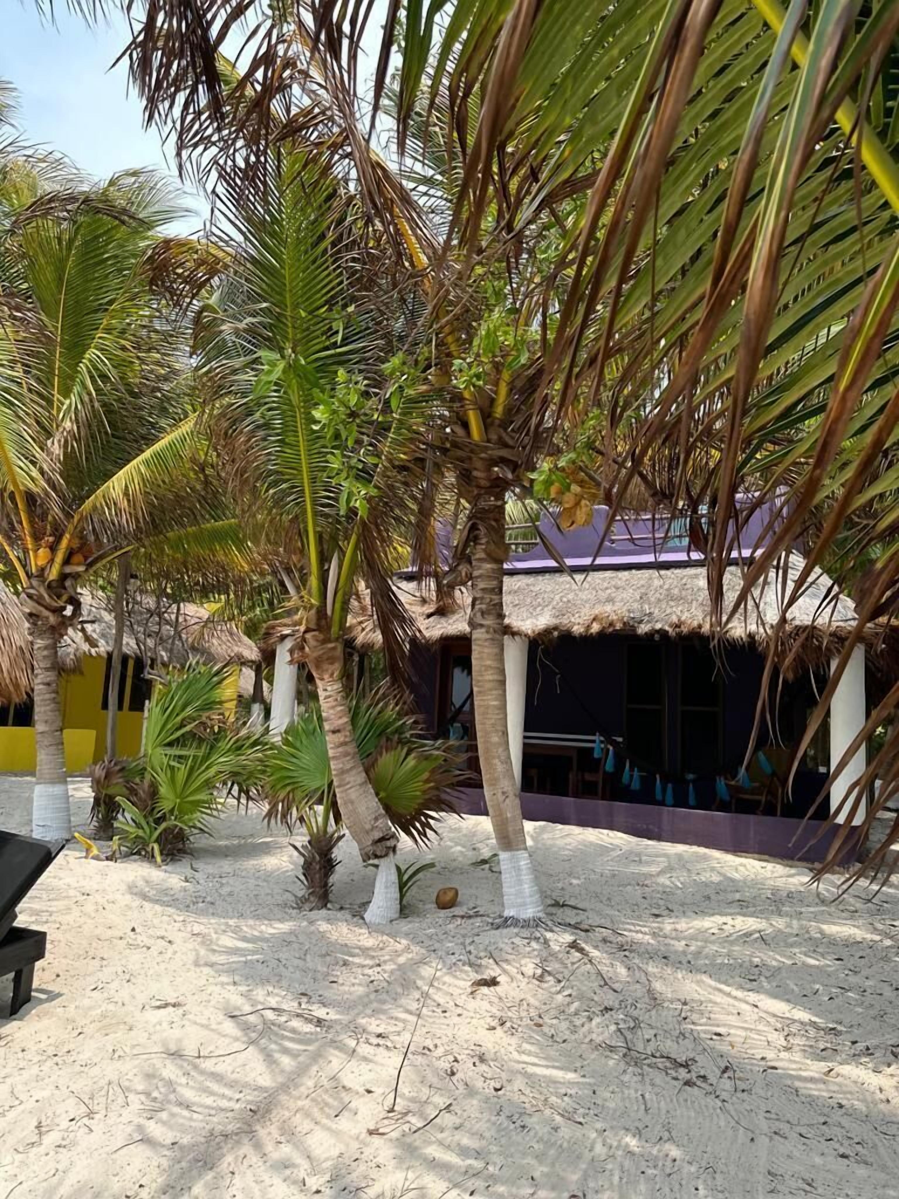 in-room safe, individually decorated, individually furnished, free wifi