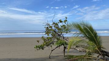 Beach nearby, white sand, fishing