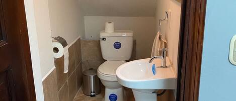 Een kleine badkamer met toilet, wastafel en een prullenbak.