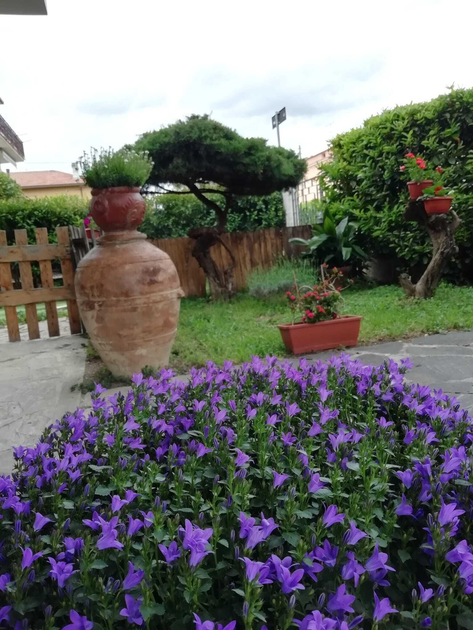 Un jardín con una maceta grande y un parterre floral.