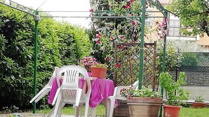 A garden area with a table and chairs, potted plants, and a variety of flowers. - B&B Il Cedro (Foligno)