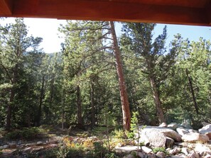 A forested area with a wooden structure overhead. - Base Camp Lodging Company (Idaho Springs)