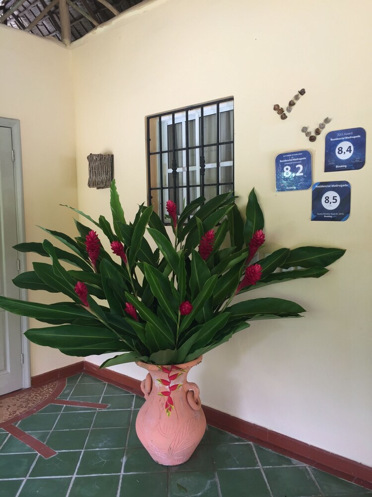 Residencia Madrugada by null