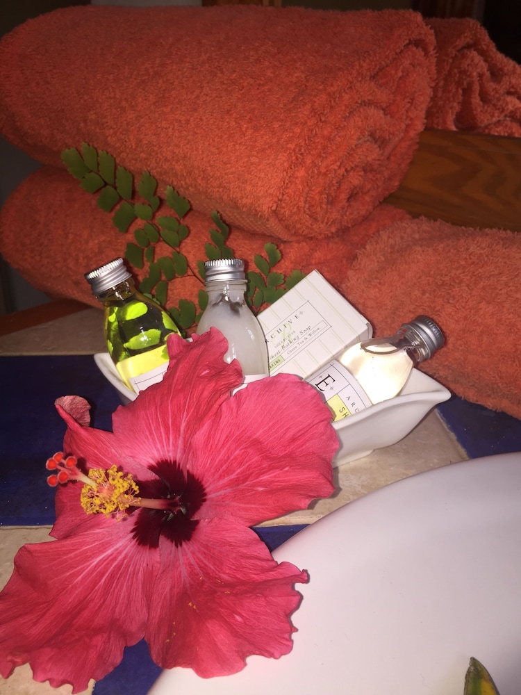 Residencia Madrugada by null