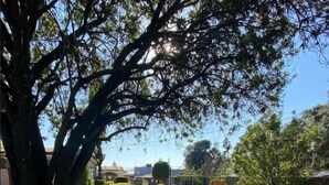 Een verzorgd grasveld met een speeltuin, omringd door bomen en een heldere lucht.
