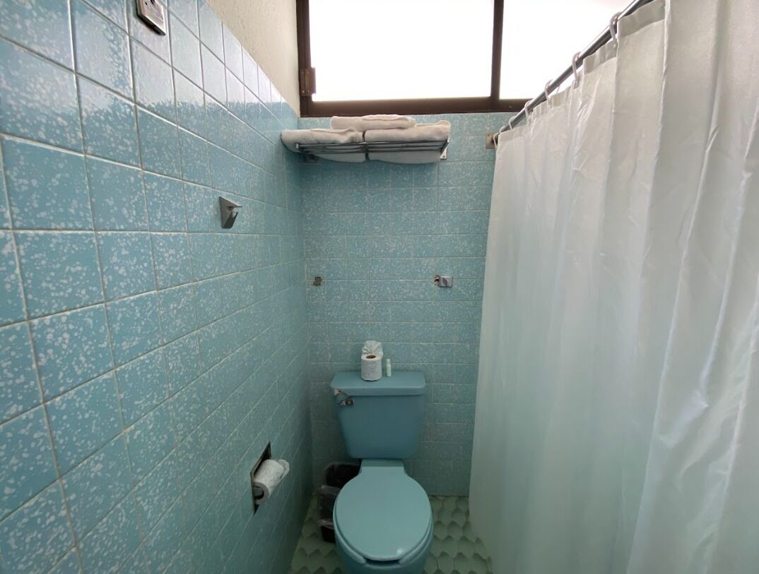 A small bathroom with a toilet, a towel rack, and a shower curtain.