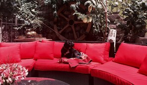 Aceita animais de estimação