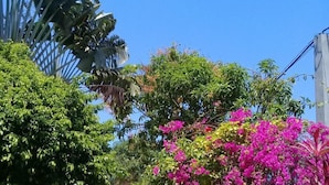 الفناء