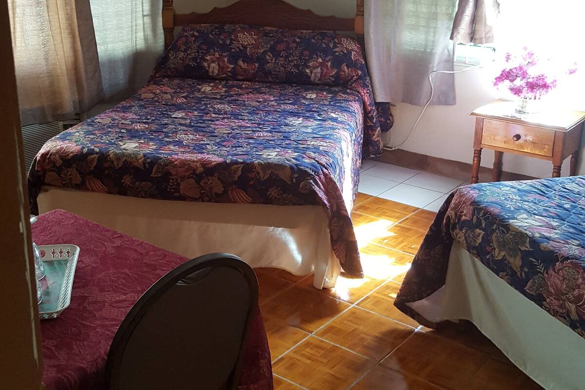 Deluxe Suite, Multiple Beds, Non Smoking | Extra beds