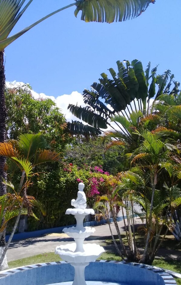 Garden - Palm Tree Guest House (Green Island)