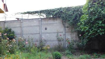 Pared de concreto con plantas trepadoras y una variedad de flores al frente.