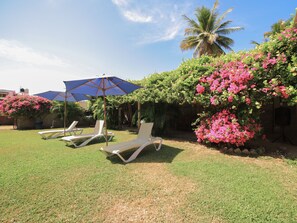 Garden - BM Zihua Casa de Huéspedes (Coacoyul)