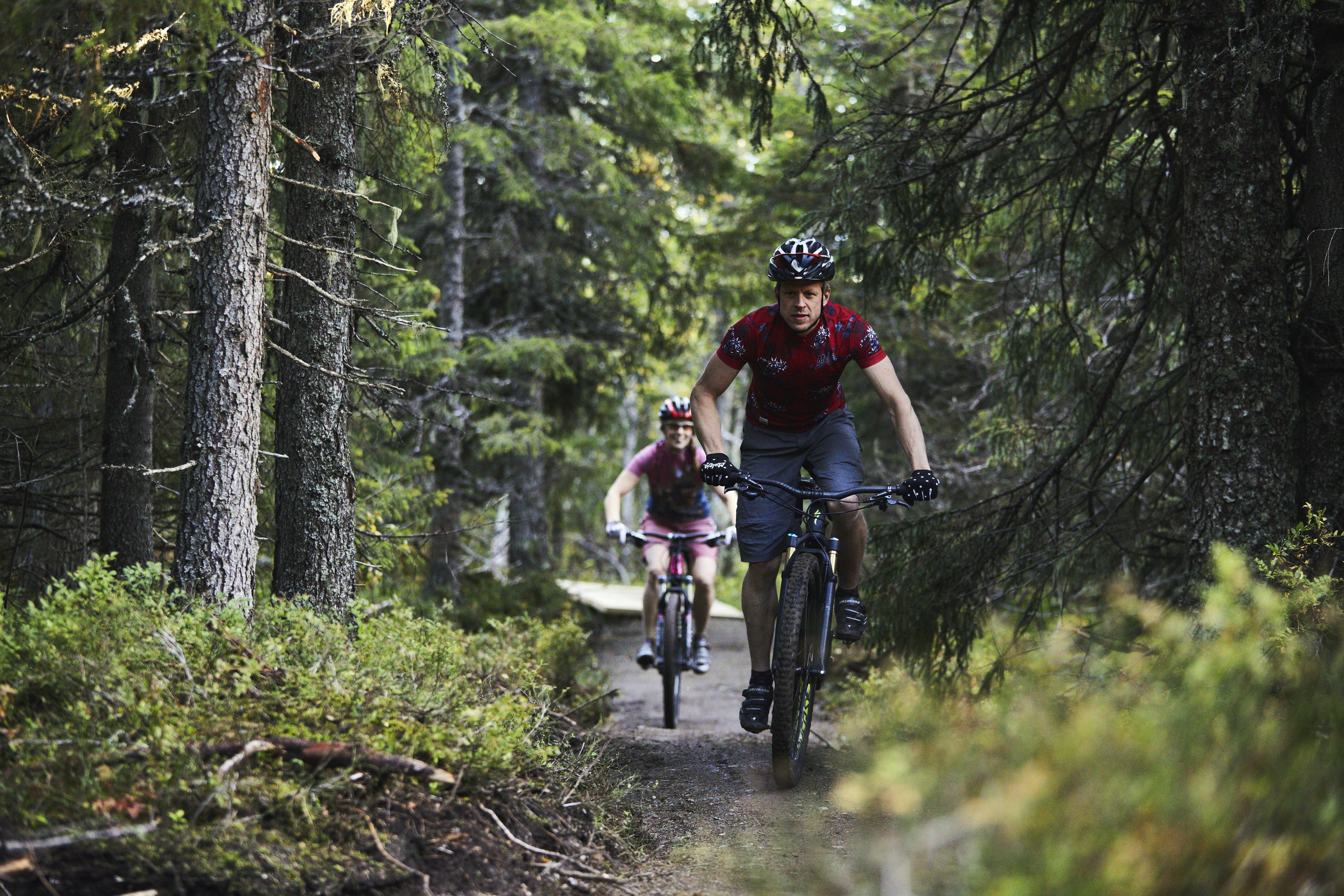 Zwei Radfahrer auf einem Waldweg.