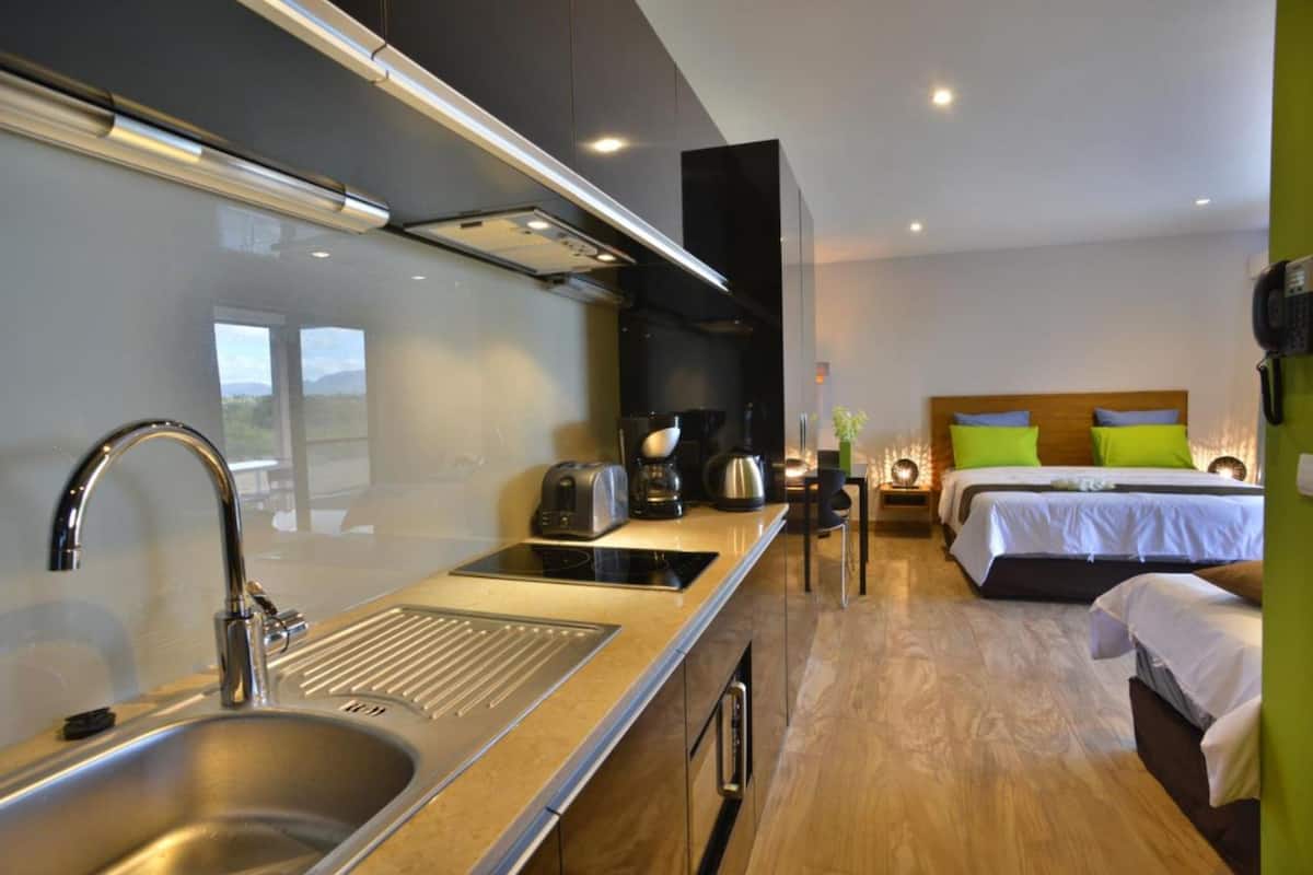 deluxe studio suite, accessible, garden view | in-room safe, blackout curtains, soundproofing, iron/ironing board