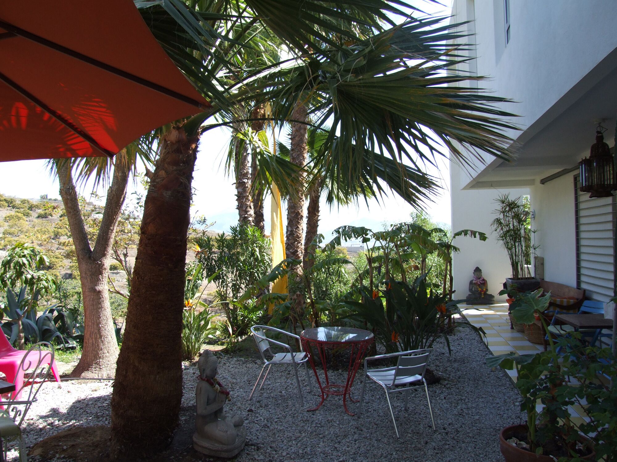  テラス / パティオ