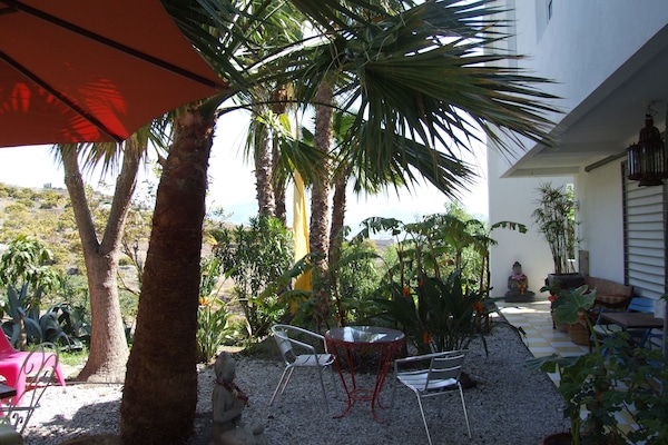 テラス / パティオ