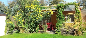 Ferienhaus direkt am See mit Boot bis 6 Pers., viele Pilze, Angelrevier, Baden