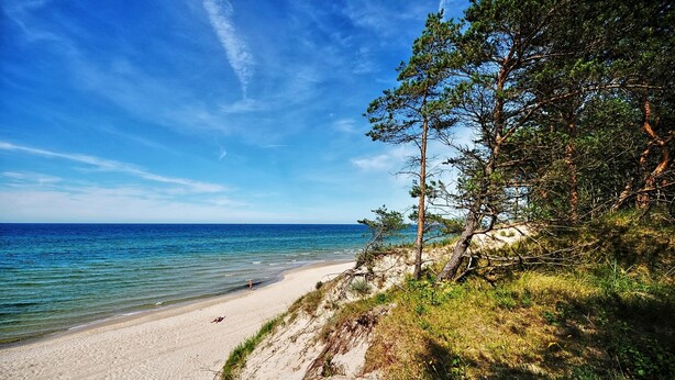 Une plage avec une eau d’un bleu limpide, un rivage sablonneux et des arbres.