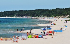 Playa en los alrededores y camastros 