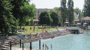 Zona pública para nadar con piscina, escalones de acceso al agua y vegetación circundante.