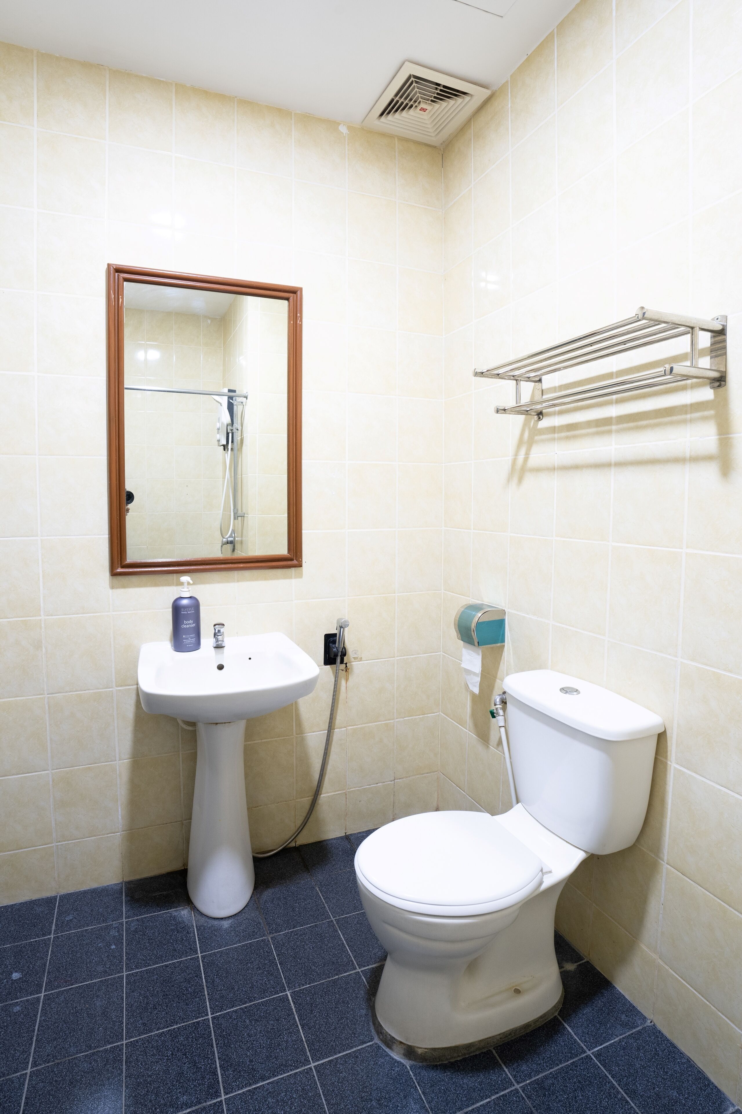 A bathroom with a white sink, a toilet, a mirror, and a towel rack.
